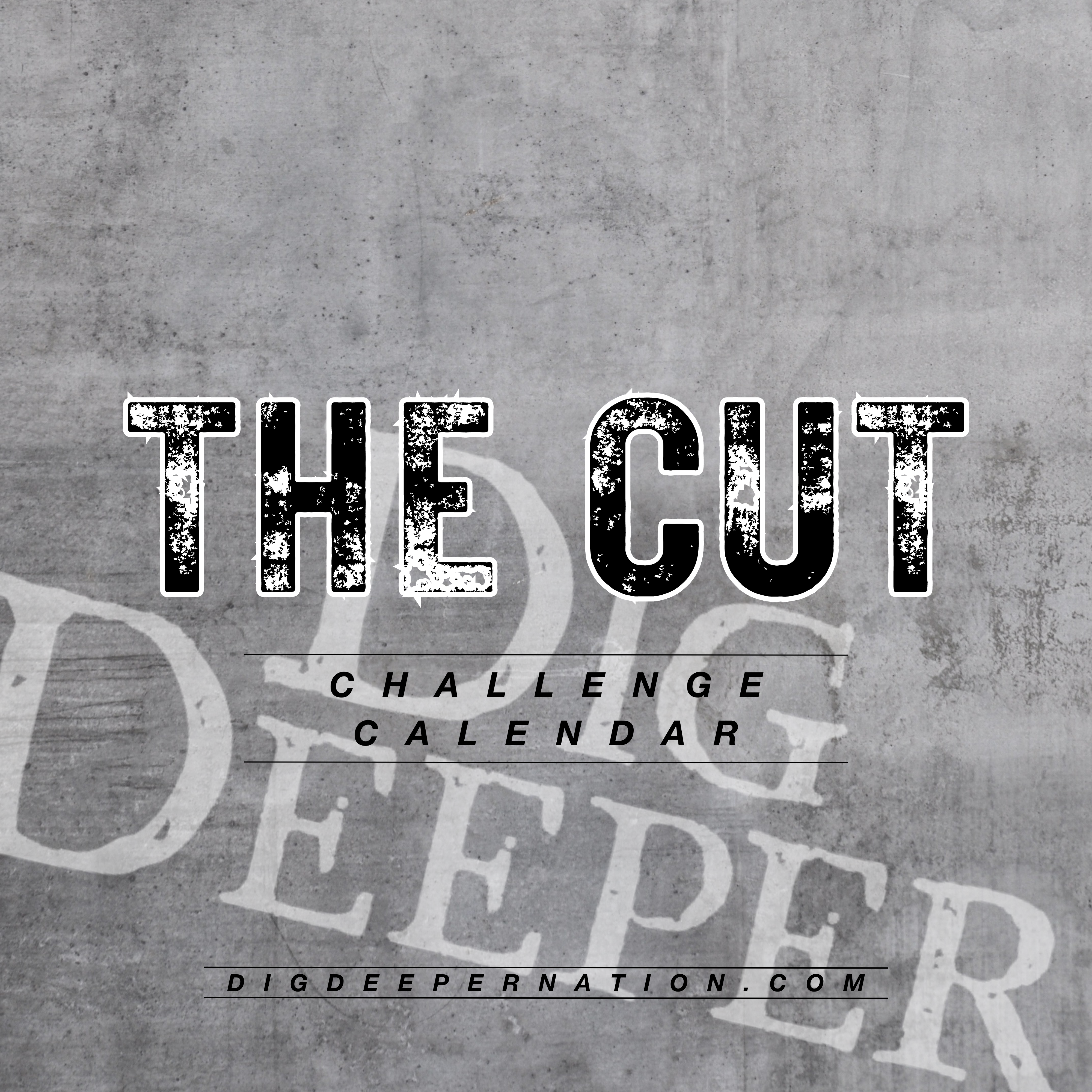 Dig Deeper Round 2: The Cut