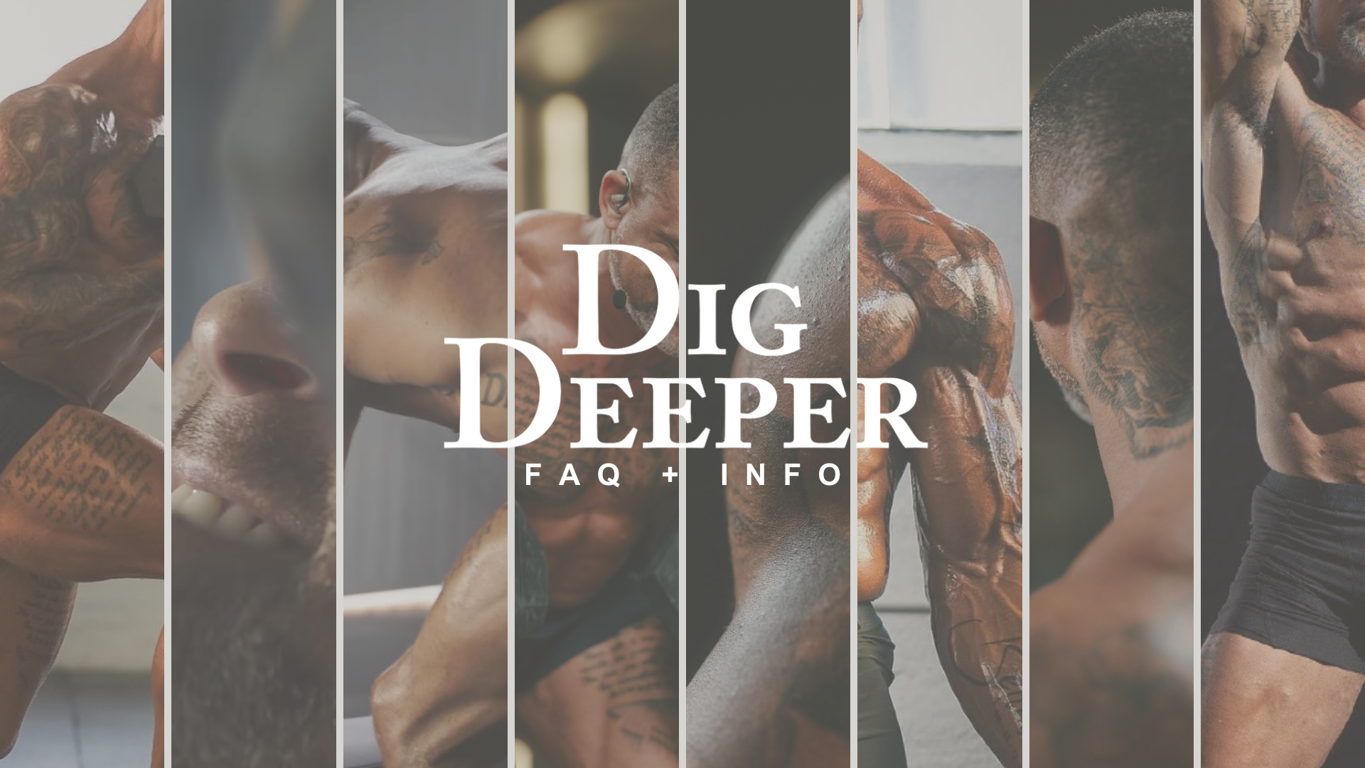 Dig Deeper FAQ & Info