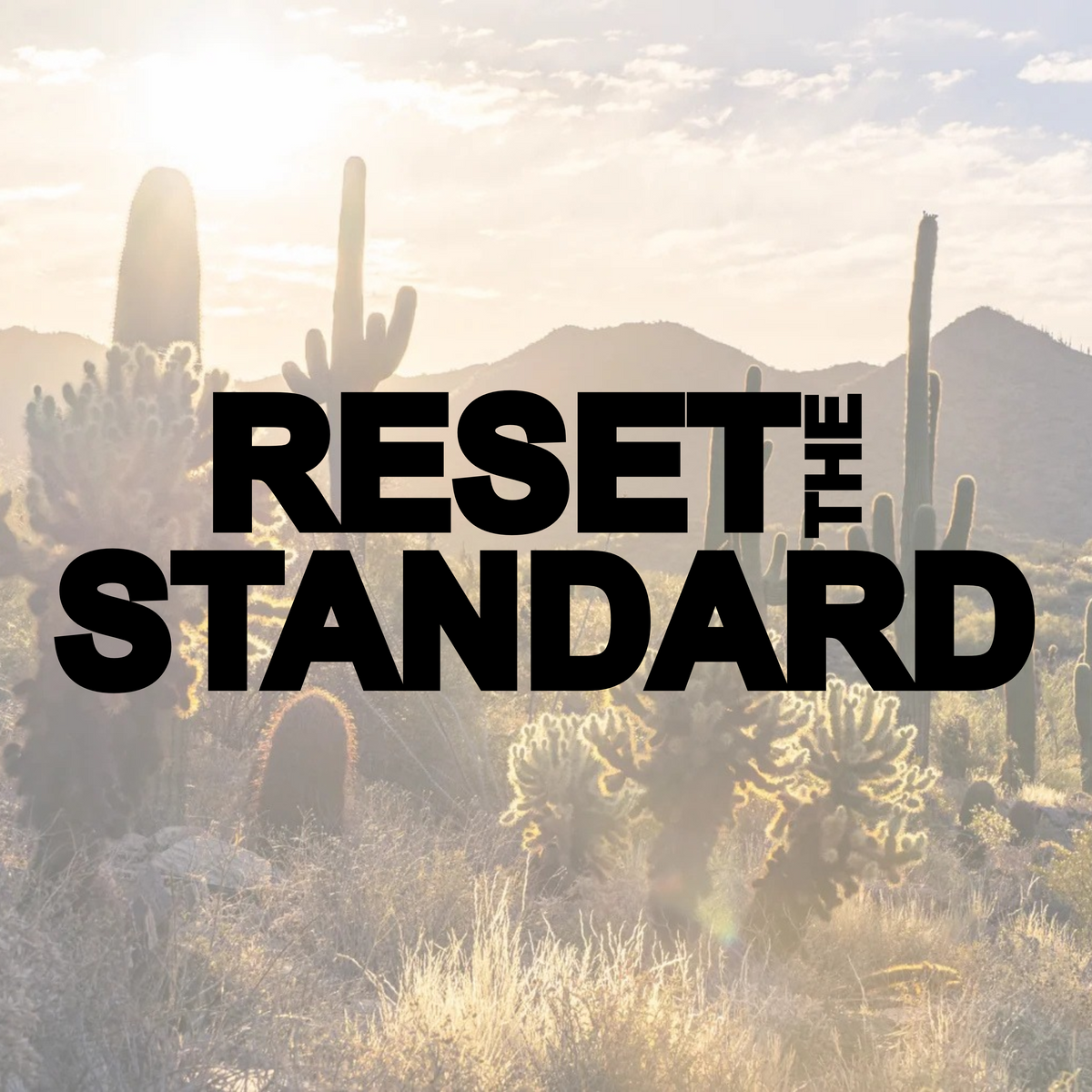 Reset the Standard